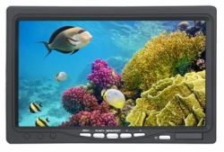 large camera monitor balidiveshop 3